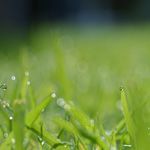 7 tipos de maneras para dejar de fumar