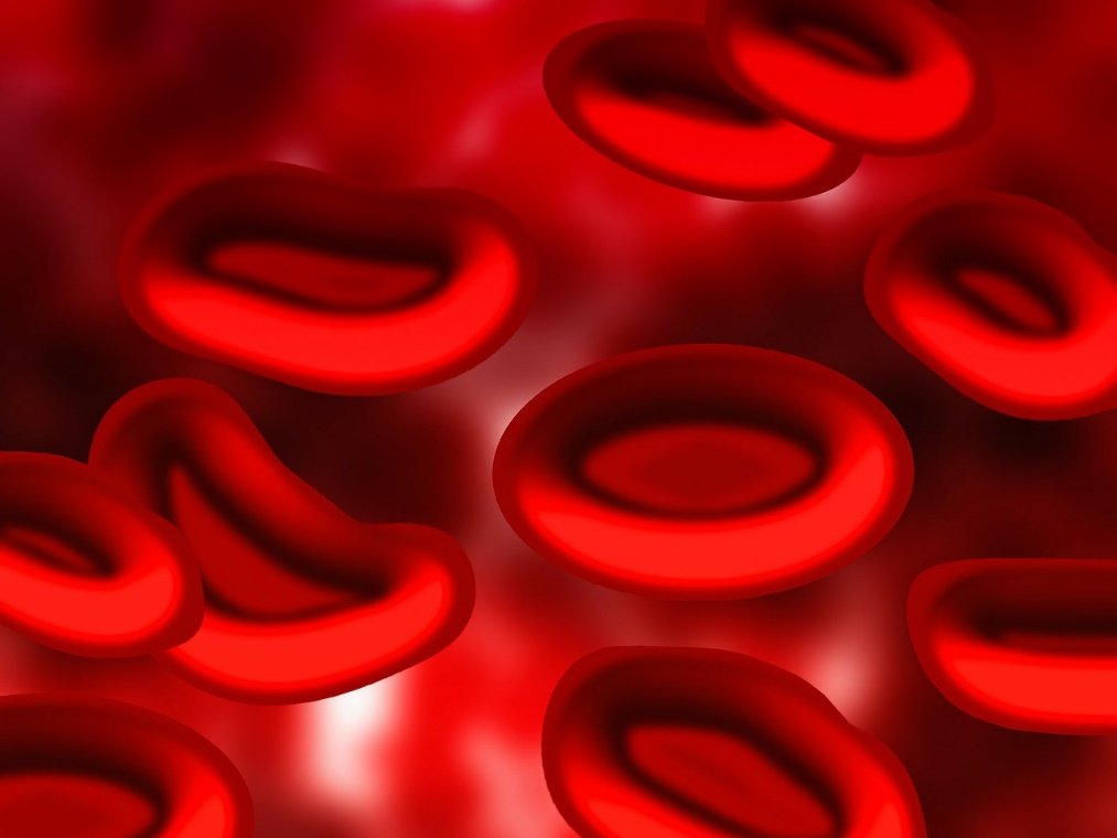 Glóbulos rojos